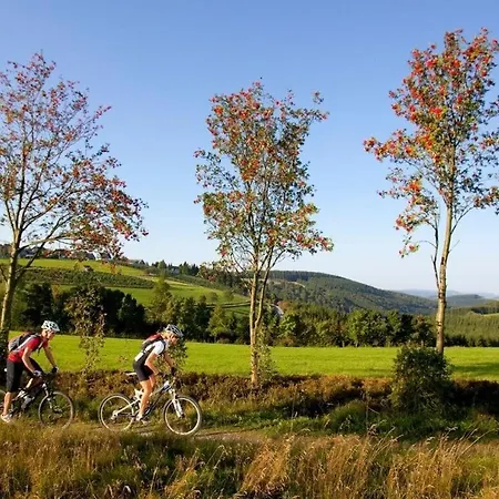 Sauerland Chalet Limonet Holiday home Brilon